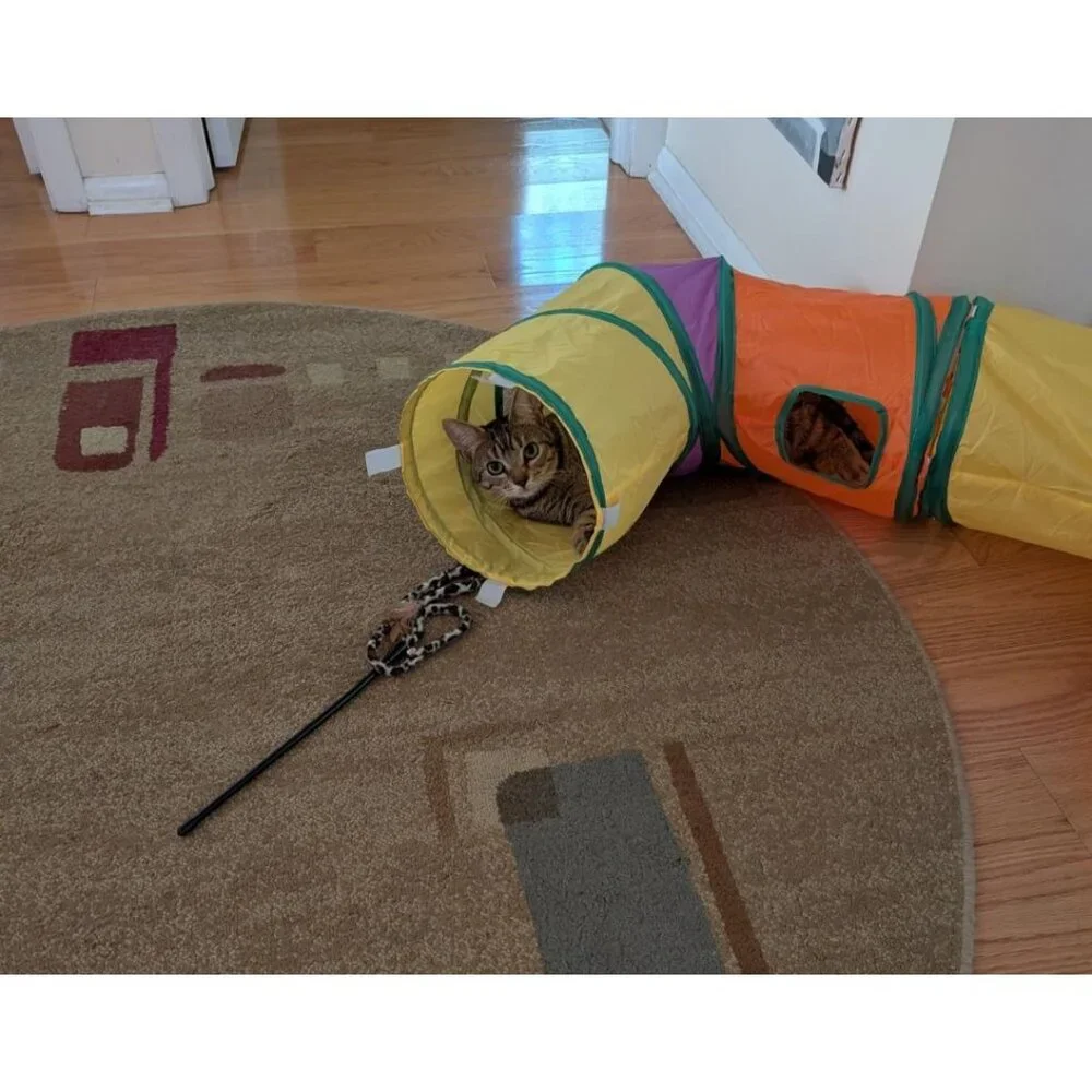 Cat Toys Bundle Set 30 Piece With Tunnels